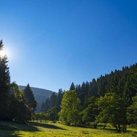 The Conscious Farmer Bed And Breakfast Sauerland Willingen  Luaran gambar