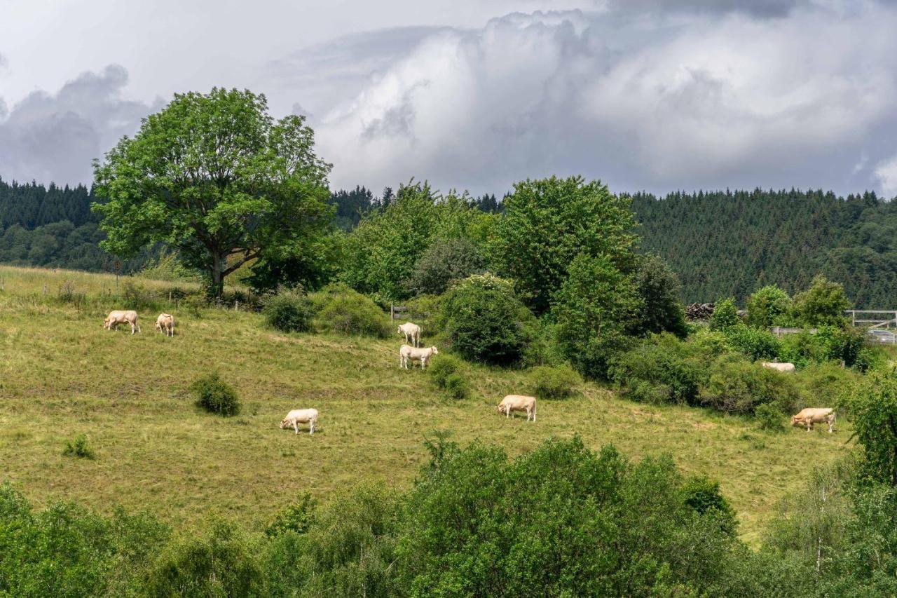 The Conscious Farmer Bed And Breakfast Sauerland Willingen  Luaran gambar