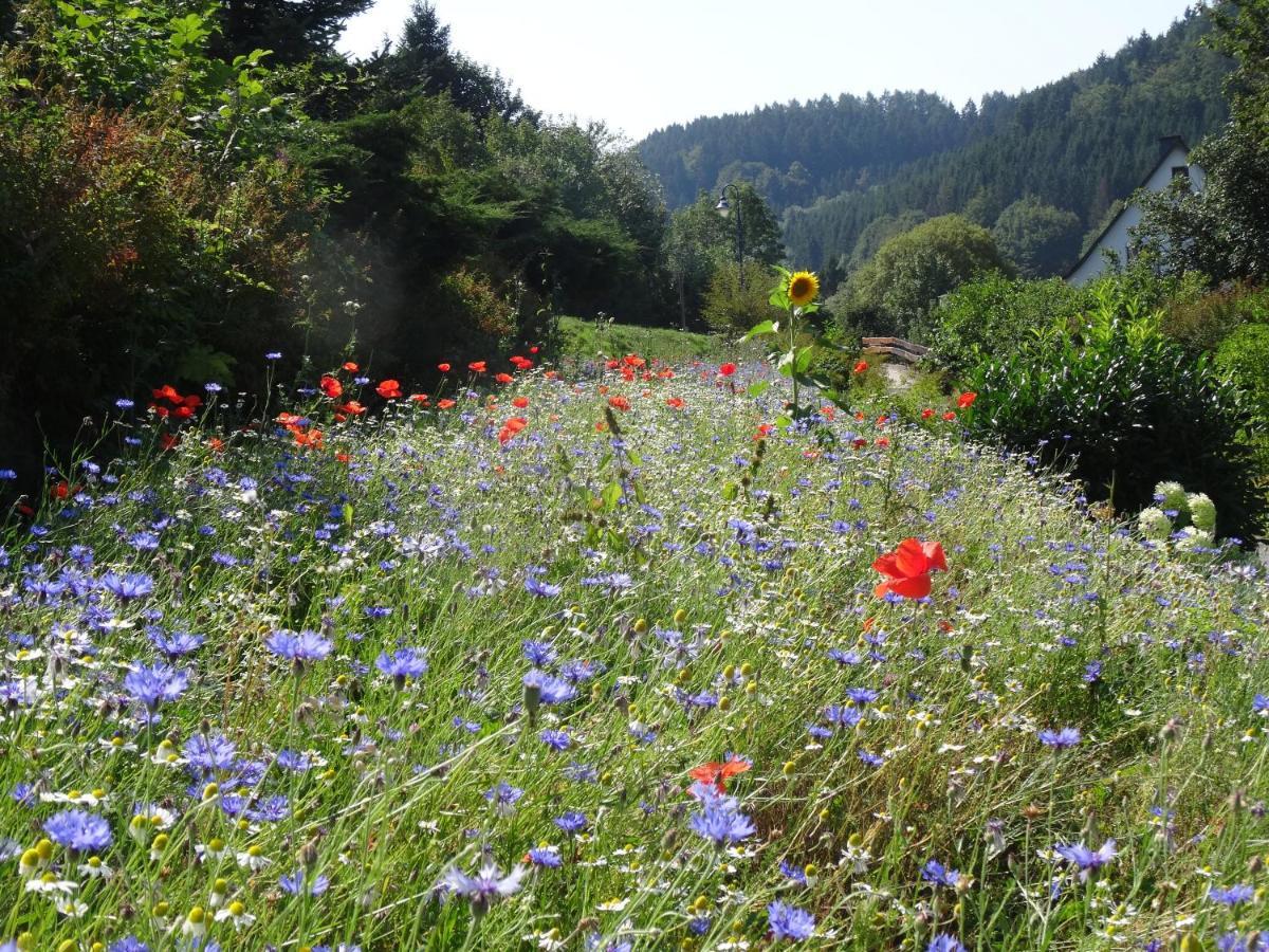 The Conscious Farmer Bed And Breakfast Sauerland Willingen  Luaran gambar